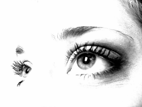Beauty - sexy eyes