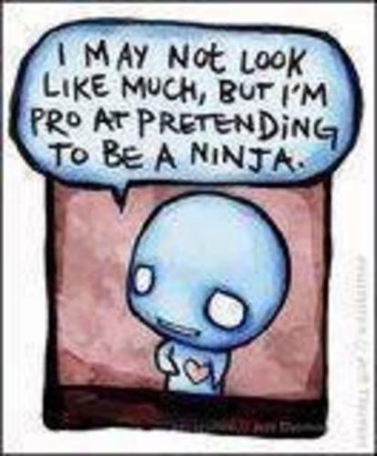 ninja ghostie - ghostie playing ninja