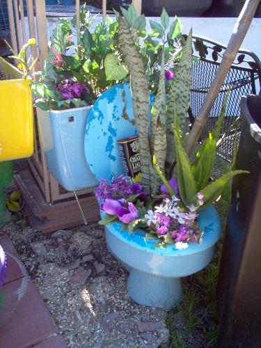 Toilet for a planter - This is a photo taken in the garden outside of the Mother In Law Lounge in New Orleans.