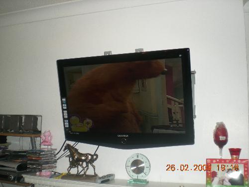 my tv - i really love my tv.. and its from my hard earn money