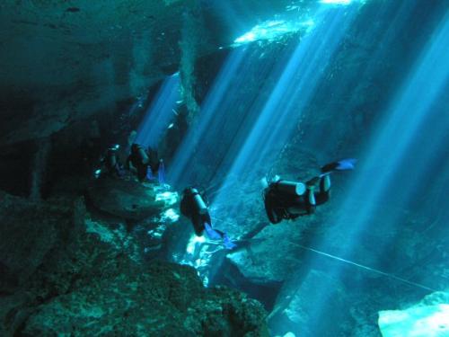 Cave Diving - In a two week trip to Mexico I got to experience one of the greatest things in my life; cave diving. It is something like no other, while slowly gliding over the deep drops and seeing many interesting fish I couldn't help but feel complete. If you have any experience diving, even if you don't, I recommend you see this in your life, at least once!