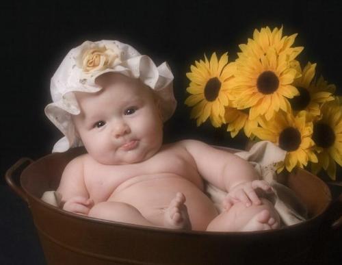 cute angel -  little angel