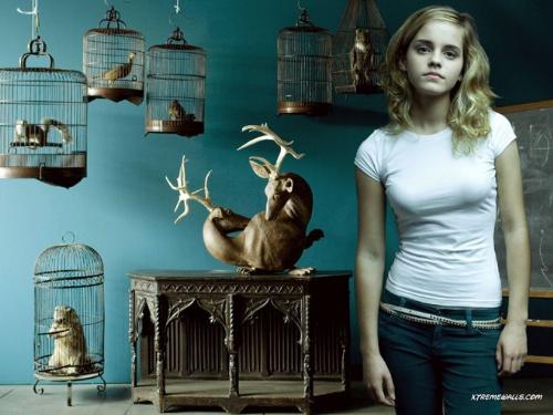 emma watson - emma watson hermione granger harry potter