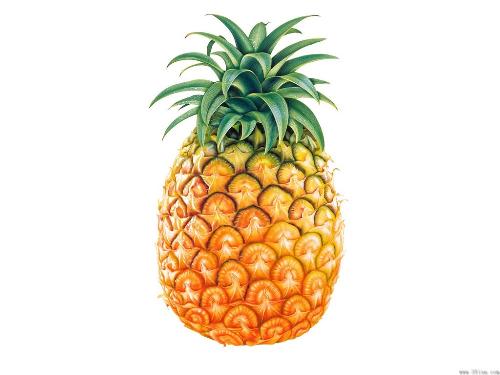 pineapple - pineapple,fruit
