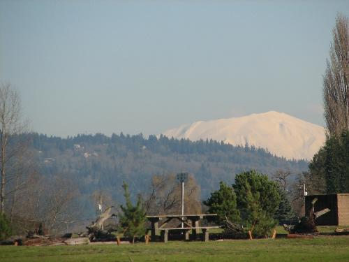 St. Helens - Mount Saint Helens in the background.