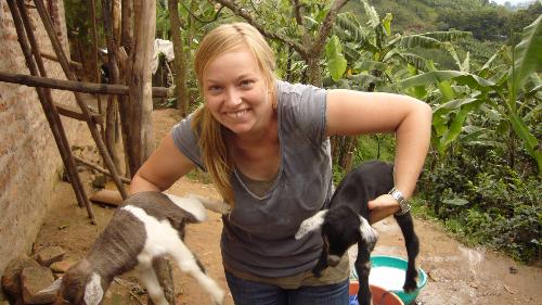 goats + congo border = crazy! - i love goats, especially babies...and these ones were in a special village on the border of uganda & congo - i had a great time there!