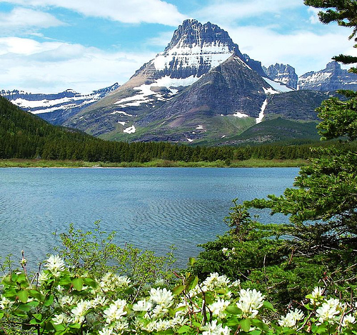 nature - see how beautiful our nature was, have flowers, trees, clean air etc..let's not destroy our own home.. help save our mother earth and our nature..