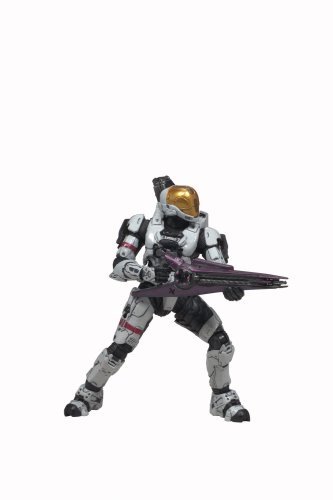 A Halo 3 Spartan - In Halo 3, you can get different armor variants