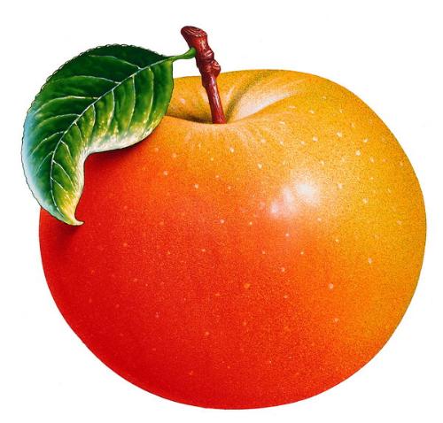 A big apple for all of you  - Apple nice,Apple big, Apple juicy, apple sweet!