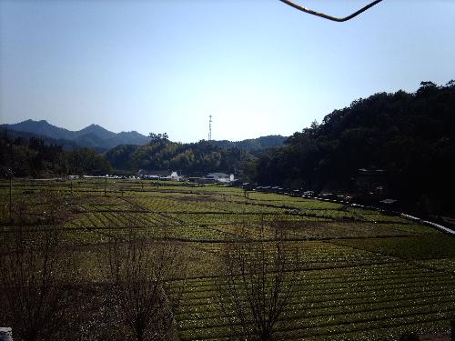 village - this is in wuyuan,the most beautiful village in china. sale.3072:2304