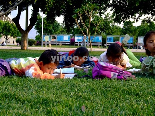 Primary school students - How diligent the chilren are
