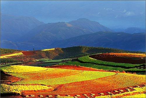 yunnan luoping  -  natural and cultural landcape of the renowned tourist destination
