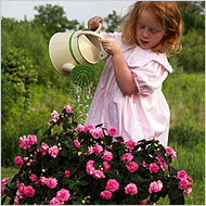 small children - lovely girl planting flowers