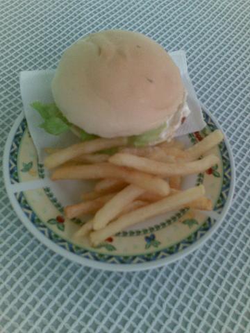 hamburger and fries - Aren't they a perfect combination?