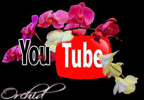 Youtube Orchid - My Youtube logo with orchid