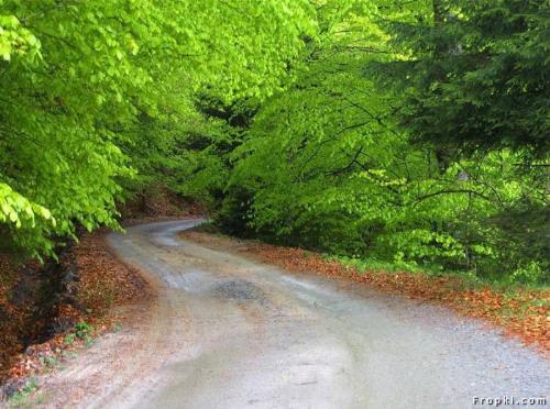 Beautiful - Beautiful road