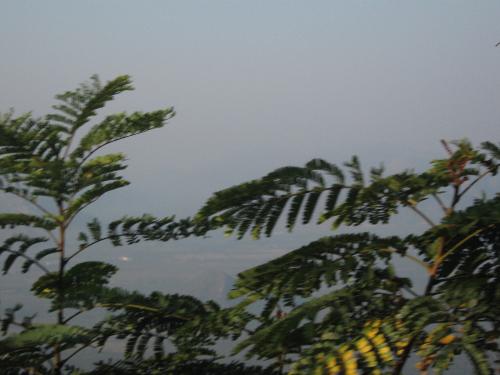 Natures beauty - See my photography with my new camera...