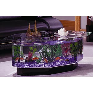 Fish Tank Coffee Table - Octagonal coffee table that is actually a fish tank! Fill it up with water and put fish in it! Makes a great conversational piece, and blends with any home decor.