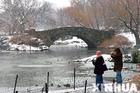 the park in America -  This is a beautiful park in New york,it attacts many people.