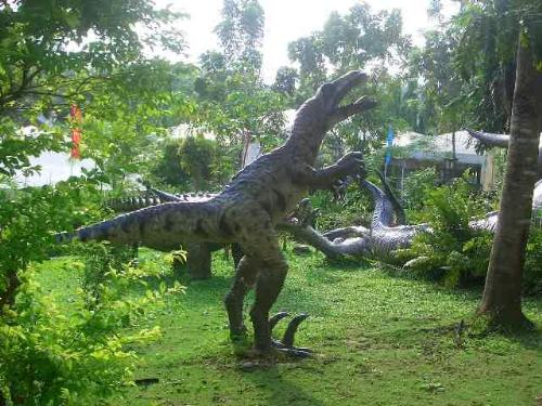 dinosaur - i was in a dinosaur-themed resort 2 weeks ago and i took this shot while taking my afternoon walk. it looked so real to the human eyes that you would literally run for your life if it was really alive.  thank goodness they're extinct!!!