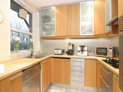 kitchen - a good kitchen model. a good one 'cause it's modern, looks beautiful and clean