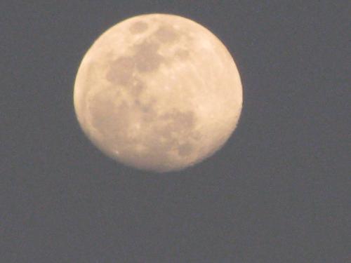 Best moon ever seen at the night - Just See my picture This is the moon shoot from my camera. Best moon ever seen at the night - Just See my picture This is the moon shoot from my camera.