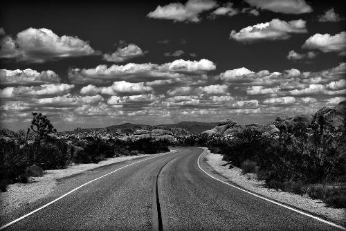 On the road again! - This was taken at Joshua Tree National Park!