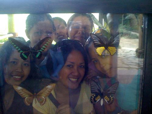 butterfly sanctuary - taken at bohol