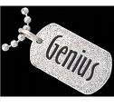 genius??? -  take an iq test