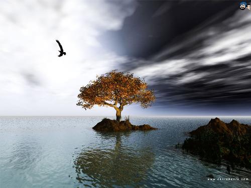 Tree of Life - Silent Tree