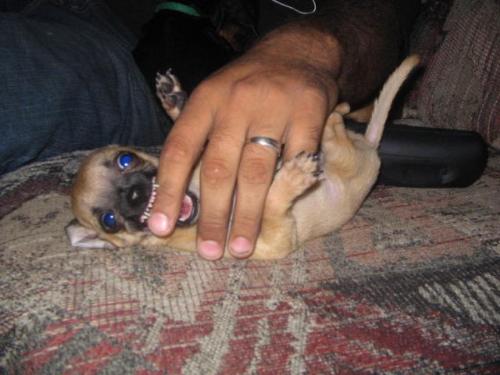 This one is funny! - I am really tuff!