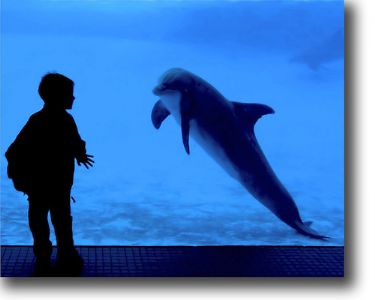 LA Times photo-contest winner! - I won second place in the LA Times contest with this photo.