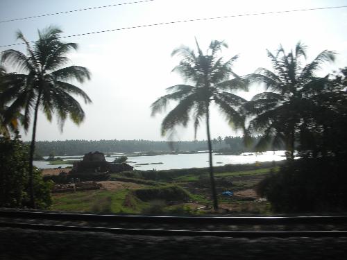 Like this photo? Its from Kerala. This is picture  - Like this photo? Its from Kerala. This is picture from my kerala tour. 