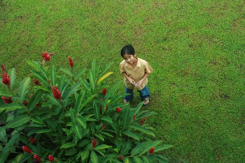 Believing - A boy staring up and hoping to receive what he is longing for. He is smiling because he knew someone up there is smiling back.