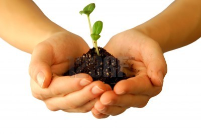 save our environment - please save our environment and make them green such away that not only we our fore coming children also will live happily.....