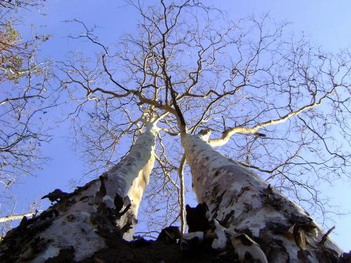 beautiful nature - Neeraj Dubey , my college friend took this place when we went for a tour in Kerala.