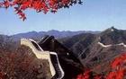 Great Wall - Welcome to beijing to see the beautiful red maple leaf and splendid Great Wall.