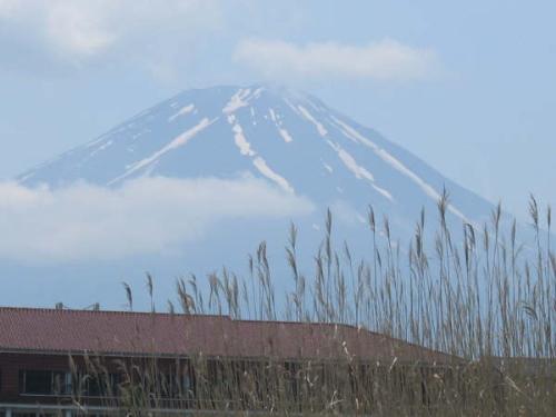 Fuji Mountain - another picture of Fuji Mountain