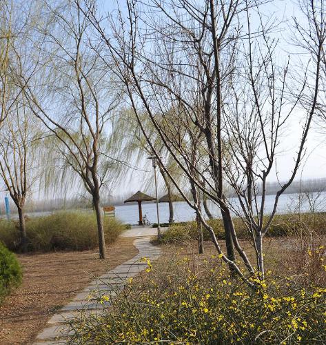 lake - lake in our city