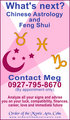 Chinese Astrology and Feng Shui - These are the banners for the Psychic Readings during the Cebu International Immigration and Education Expo on October 8 & 9, 2005. Number 13 is always a lucky number for some. Why? Because the exhibitors doesn't like to get the Booth number 13! So this time it was given for free for the Order of the Mystic Arts, Cebu. How lucky this group is? You'll be the judge (grins). I'm one of the Co-Founders of Order of the Mystic Arts. I'm into divination and paranormal investigation.