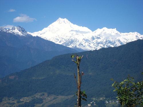 Kanchenjunga peak from my home - Kanchenjunga Peak , Gangtok