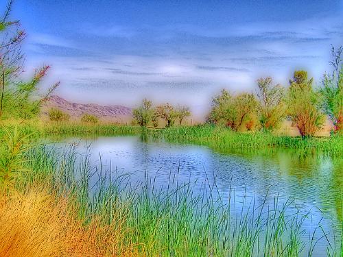 Joshua Tree Lake - After photoshop this looked more like a painting then a picture.