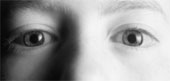 eyes - A pair of eyes