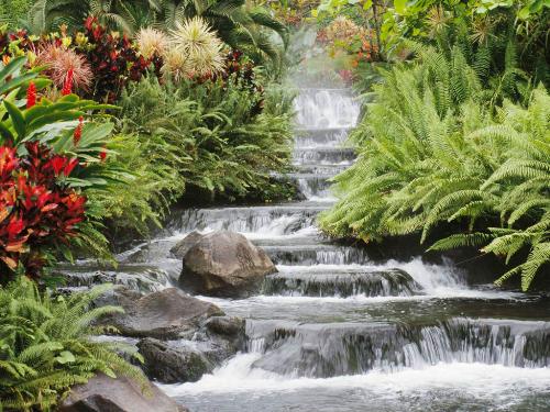 How life should be at all times - Little island waterfall with green bushes on the side. How this waterfall runs nice and smooth is how your life in all aspects is supposed to run. Try to focus on the positive and get in tune of peace. Enjoy life and live it peacefully.