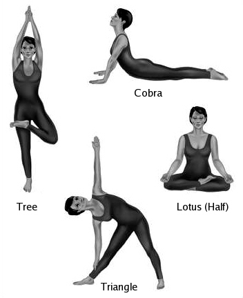 yoga - yoga positions