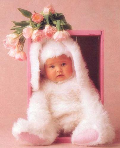 rabbits - nice baby