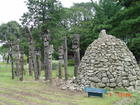 summar -  the summar in korea,it is really very beautiful.