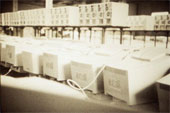 Computers - Rows of Monitors and Computers