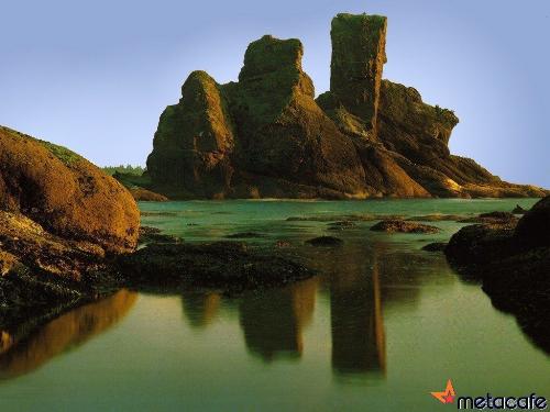 Nature - This is the nature. Enjoy...