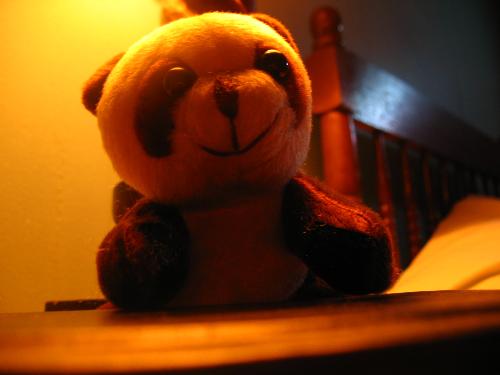 Cheerful Panda - Smiling Panda
